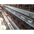 Hot-DIP Galvanized Layer Cage Certificat d&#39;ISO9001